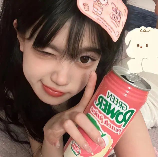 完美伴侣2025